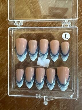 Hand Painted Acrylic Neutral Pink and Blue Ombre Press-On Nails - Set of 10